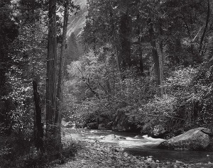 Ansel-Adams-Tenaya-Creek-Spring-Rain-1948-600